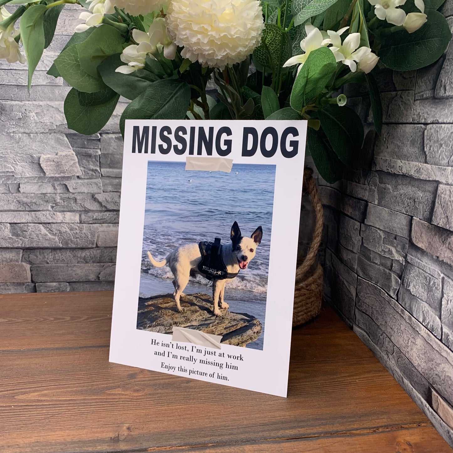 Missing My Dog Sign