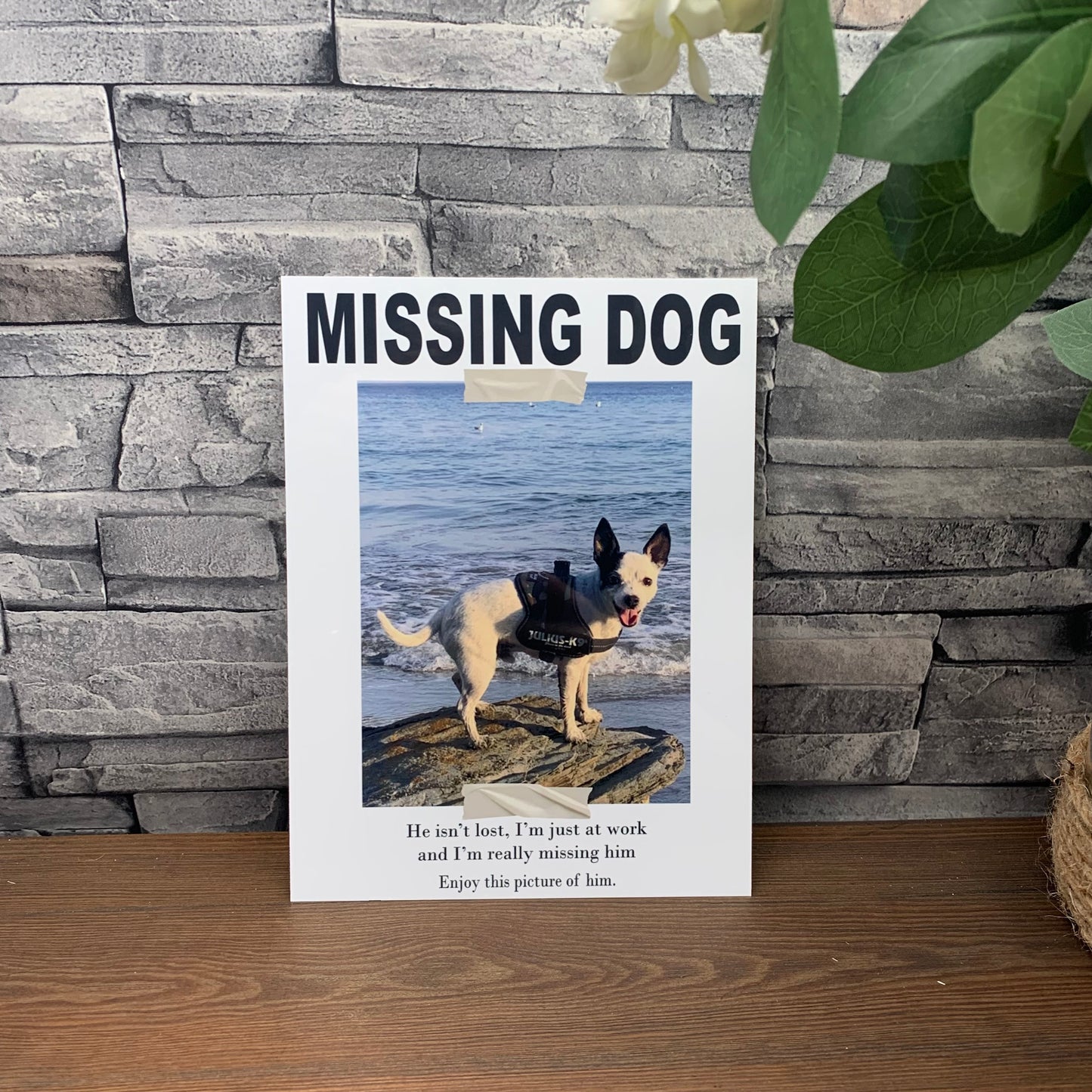 Missing My Dog Sign