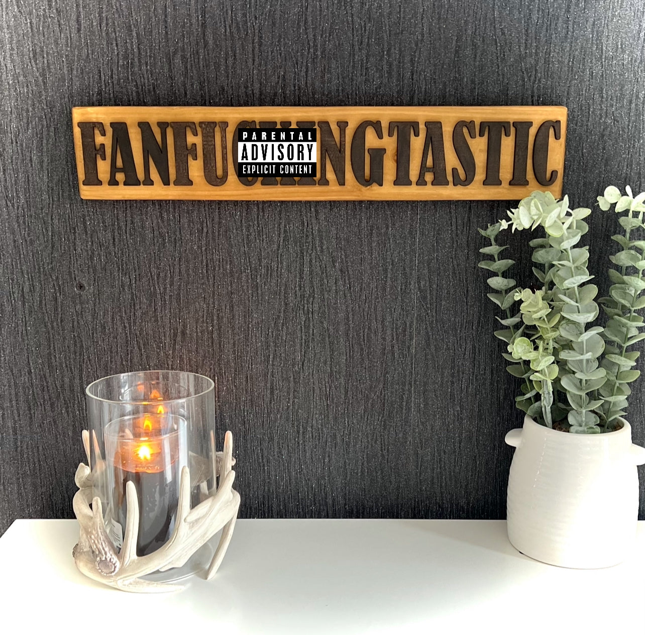 Reclaimed Wooden Wall Sign “Fanf**kingtastic”